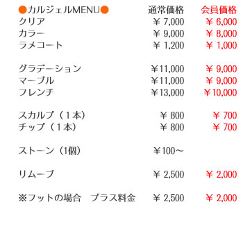 カルジェル 料金表